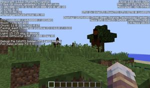 A screenshot of Minecraft running on the Netbook
